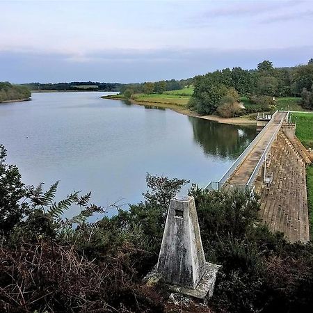 Charmant Appartement Entre Vitre Et Fougeres Chatillon-en-Vendelais 外观 照片